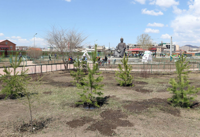 288 thousand trees to be planted in capital city