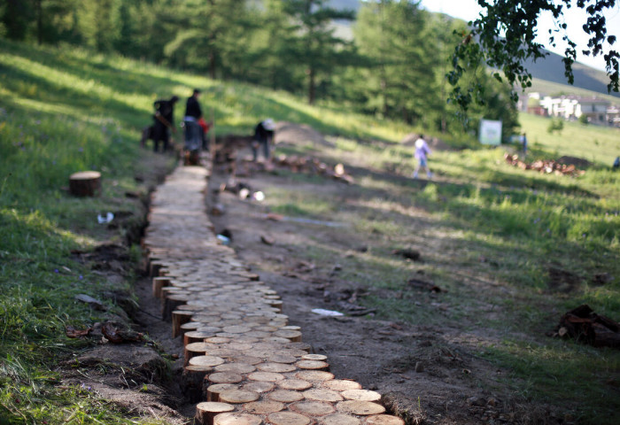 Dugui Tsagaan area being landscaped using dead trees removed from forest