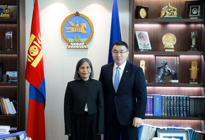 Views exchanged on cooperation with the WHO Representative